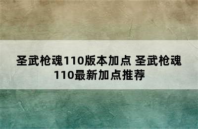 圣武枪魂110版本加点 圣武枪魂110最新加点推荐